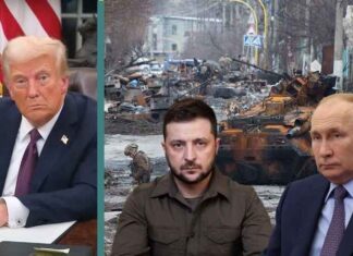 Trump over Zelensky die het vredesplan met Rusland afwijst: “Dan kan hij blijven vechten tot zijn kleine hartje het begeeft”