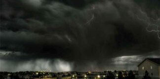 ‘This Is A Perfect Storm’: Martin Armstrong waarschuwt dat ‘er oorlog op komst is’