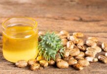 Ricinusolie: het keukenmedicijn dat bijna verdween