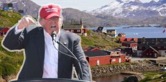 Dreigement van Trump: Strafheffingen voor landen die ons Groenland niet laten annexeren