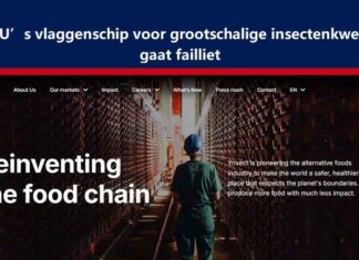 EU’s vlaggenschip voor grootschalige insectenkweek gaat failliet