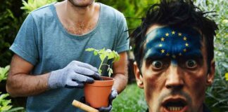 Nieuwe verboden in naam van de Green Deal: EU wil plastic bloempotten verbieden