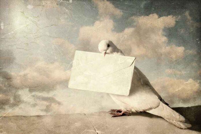 Depositphotos_3098892_postduif