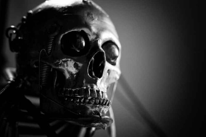 Depositphotos_73123337_AI-robot-skull