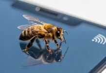 Alarmerende studie: straling van mobiele telefoons veroorzaakt metabolische ineenstorting bij bijen