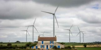 Franse rechtbank bevestigt: windmolens maken ziek