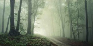 ‘Vreemde’ nieuwe details aan het licht gekomen over mysterieuze verdwijning van raketwetenschapper