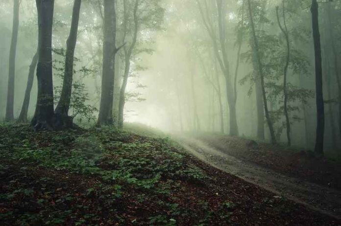Depositphotos_10520332_misterie-horror