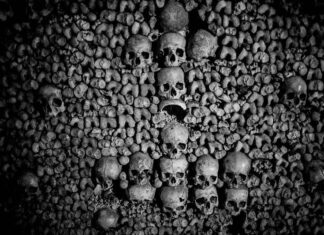 De gecoördineerde, voortdurende poging tot democide
