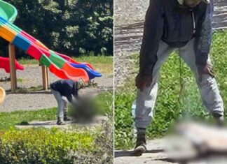 Woede in Italië nadat Nigeriaanse immigrant in openbaar park een kat roosterde om op te eten