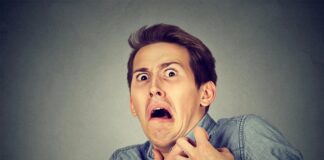 De hantavirus-paniekmachine: wanneer zeldzame ziekten mediadrama worden
