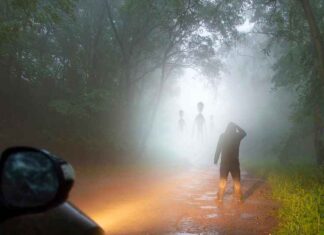 ONTHULLINGSDAG: Dit zijn de VREEMDSTE dingen die in de UFO-dossiers zijn gevonden