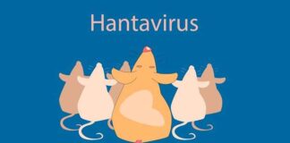 Hantavirus – Een ‘wake-upcall’ voor een pandemieverdrag?