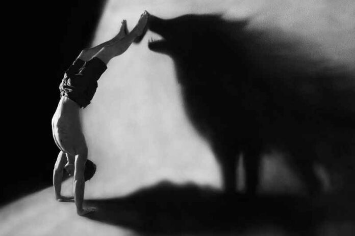 Depositphotos_72452705_schaduw-wolf