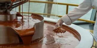 Mars, Hershey & Nestlé luiden de chocolade-apocalyps in – Je reep is zojuist een biotechnologisch experiment geworden