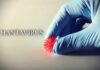 Hantavirus: de hype in de media weerspiegelt niet de werkelijkheid