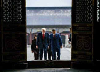Observaties van de topontmoeting tussen Xi en Trump