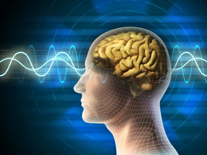 Depositphotos_10171240_brain wave