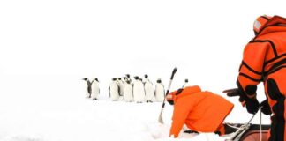 Wetenschappers slaan alarm na detectie van ‘honderden’ mysterieuze aardbevingen diep onder het ijs van Antarctica