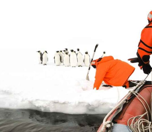 Wetenschappers slaan alarm na detectie van ‘honderden’ mysterieuze aardbevingen diep onder het ijs van Antarctica