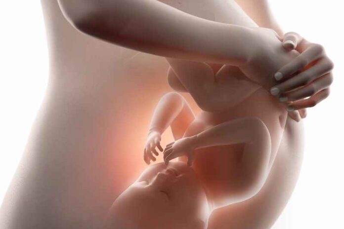 Depositphotos_60942921_foetus-baby