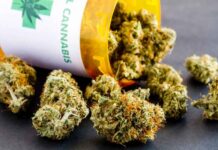 De “medische marihuana”-zwendel