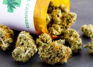 De “medische marihuana”-zwendel
