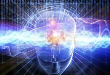 ‘Word supermens of raak achterop’: miljoenen Chinezen staan in de rij om cyborg te worden nu de CCP de NEO-hersenchip lanceert