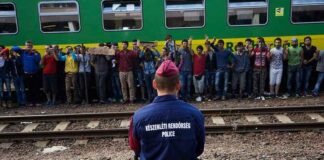 Meer dan 8 op de 10 Franse kiezers zijn voorstander van ‘negatieve immigratie’ en steunen grootschalige uitzettingen