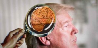 Israëlische media beweren dat Trump wordt ‘gemanipuleerd’ door Iraanse ‘elektromagnetische wapens voor gedachtenbeheersing’