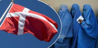 Denemarken wil islamitische oproep tot gebed verbieden; minister vindt dat het land niet op Pakistan moet lijken