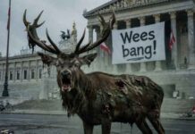 Nieuwe viruspaniekzaaierij: en elke dag brult het zombiehert