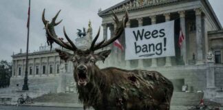 Nieuwe viruspaniekzaaierij: en elke dag brult het zombiehert