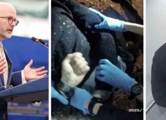 Na de moord: Amnesty veroordeelt “politieke commentaren” van rechts