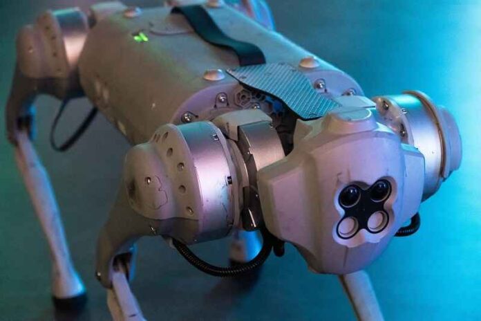 Depositphotos_706197610_robot-dog hond
