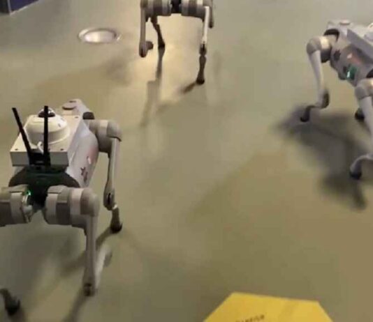 HET BEGINT: Politierobots houden nu toezicht op mensen – De machine wordt de nieuwe ordehandhaver