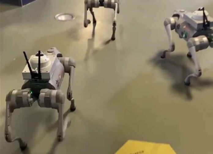 robothond