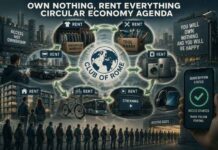 De ‘Own Nothing, Be Happy’ circulaire economieagenda streeft ernaar alle producten om te zetten in diensten, verhuur en abonnementen: een perspectief