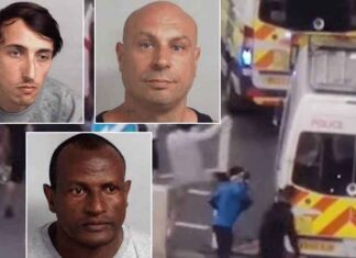 Britse demonstranten LANGER OPGESLOTEN dan migrant die meisje seksueel aanrandde