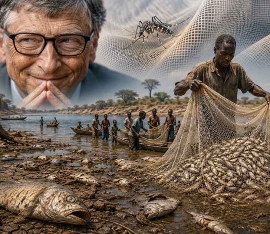 Bioloog: Bill Gates heeft met zijn ‘muggenagenda’ een heel ecosysteem ‘vernietigd’