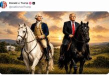 De waanzin van koning Trump