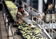 De angstaanjagend treffende voorspellingen die de film ‘Soylent Green’ uit 1973 deed over de jaren 2020