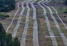 30 rijen prikkeldraad: Oekraïners verwachten Russische invasie van Kyiv vanuit het noorden