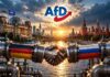 De AfD en de weg naar Moskou