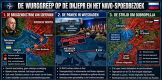 De wurggreep op de Dnjepr: De strategische berekening achter het afsluiten van bruggen, de doctrine van Soerovikin en de spoedinspectie van de NAVO in Kiev
