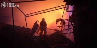 Sitiuatierapport 31-01-26: Poetin vleit Trump met staakt-het-vuren inzake energie met Kiev (VIDEO’S)